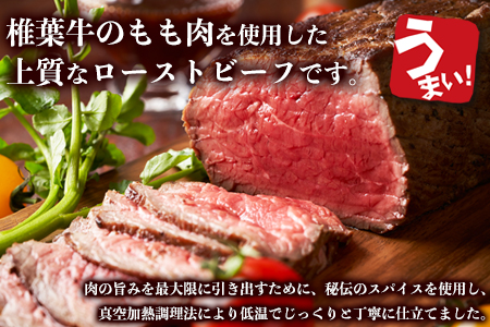 【６回定期便】 宮崎県産 椎葉牛 ローストビーフブロック 200g（100g×2P）×6回 計1.2kg［ 定期便 椎葉 国産牛 黒毛和牛 和牛 牛肉 赤身 肉 牛 お肉 ブロック肉 冷凍 定期 ギフト おすすめ 人気］TK-106
