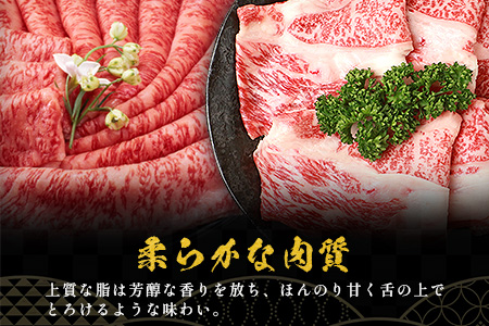 【A5ランク】 椎葉牛 すき焼き 2種 食べ比べ 肩ロース840g・牛もも840g 計1680g すき焼き しゃぶしゃぶ | ふるさと納税 すき焼き しゃぶしゃぶ 肉 牛肉 高級肉 黒毛和牛 国産 モモ 肩ロース 宮崎県 椎葉村 人気 送料無料 | TK-113