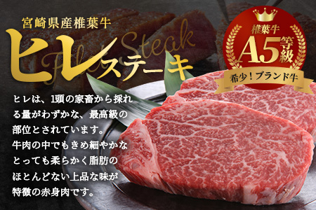 宮崎県産 椎葉牛 ヒレ肉  480g お試しステーキソース付き A5等級指定 ［宮崎県 椎葉村 国産 国産牛 黒毛和牛 和牛 牛 牛肉 赤身 肉 お肉 a5 A5 ヒレ ステーキ 焼肉 バーベキュー 冷凍］【TK-24】