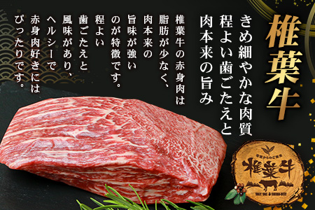 【日本三大秘境の黒毛和牛】宮崎県産 椎葉牛 赤身ももブロック 500g A5等級指定［宮崎 椎葉 国産牛 和牛 牛 牛肉 赤身 肉 お肉 a5 A5 牛ももブロック ステーキ 焼肉 カレー ローストビーフ ブロック肉 冷凍 ギフト］【TK-81】
