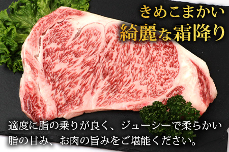 宮崎県産 椎葉牛 サーロインステーキ 200ｇ×2枚 計400g TK-84 [宮崎県 椎葉村 牛肉 牛 肉 お肉 人気 おすすめ 和牛 黒毛和牛]