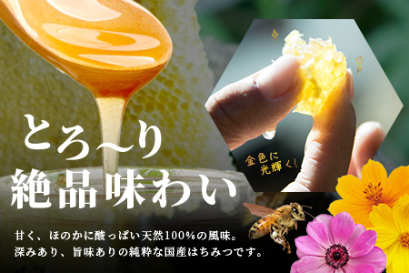 【無添加 非加熱】標高800m たっちゃんのこだわり蜂蜜【250g×1本】送料無料 宮崎県 椎葉村 秘境 蜂蜜 はちみつ ハチミツ みつばち ミツバチ 伝統的 養蜂 国産 天然 百花蜜 巣箱 数量限定 季節 希少 防災 備蓄 250g 【TN-01】