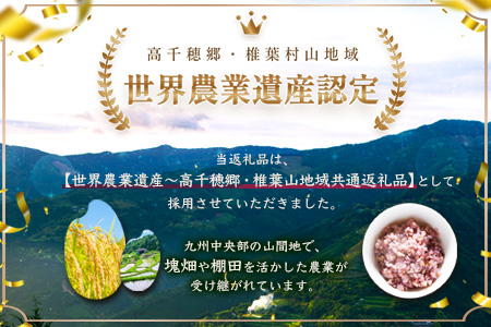 【3回定期便】【雑穀米】藤の花色に染まる美しい六穀米《藤六穀》300g×2袋 3回配送【世界農業遺産 高千穂郷・椎葉山地域】送料無料 定期便 定期 保存食 非常食 米 お米 ご飯 ご当地 贈り物 手土産 お土産 挨拶 祝い ギフト 父 母 栄養 健康 うるち米 たかきび 挽割とうもろこし もちあわ もち麦 黒米【TT-14】