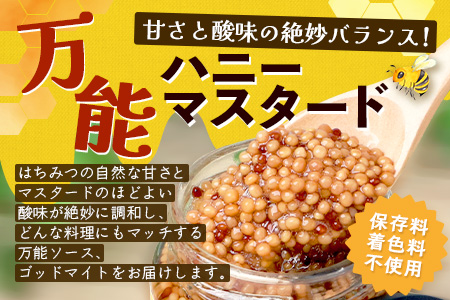 【1月より順次発送】【椎葉村産のはちみつ】を使用したハニーマスタード！ゴッドマイト 90g × 1個 | ハニーマスタード マスタード はちみつ 蜂蜜 粒マスタード 万能ソース 宮崎県 椎葉村 おすすめ 純粋はちみつ | TT-18