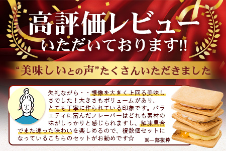 【先行予約受付中】≪2025年12月中旬頃～発送予定≫宮崎バターサンド 詰合せ【10個入】手造りで製造【数量限定】［送料無料 宮崎 椎葉 バターサンド バター スイーツ デザート クッキー くっきー ご褒美 一息 洋菓子 焼き菓子 かし おかし 菓子 お菓子 詰め合わせ 美味しい ランダム 個包装 冷凍 人気 贈物 母の日 父の日 敬老の日 お中元 お歳暮 ギフト プレゼント 手土産］【YK-38】