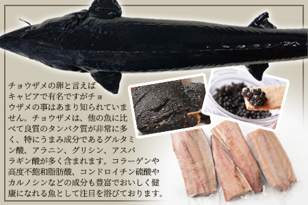 【宮崎県 椎葉産】キャビアフィッシュフィレ 1尾【800g～1.2Kg】［宮崎 椎葉 国産 ちょうざめ チョウザメ きゃびあ キャビア クリーミー お酒 魚介 珍味 加工品 冷凍 高級 贅沢 食べ物 お取り寄せ お取り寄せグルメ グルメ ディナー パーティー おつまみ お祝い ギフト 記念日 誕生日 プレゼント 贈り物 贈答 贈答品 父の日 母の日 お中元 お歳暮 桐箱 希少］【SZ-119】