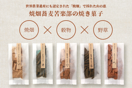 宮崎県 椎葉村の焼畑農家がつくった あわクッキー【手づくりの焼菓子】［送料無料 宮崎県 椎葉村 椎葉 日本三大秘境 秘境 焼畑 やきはた くっきー クッキー 粟 あわ 粟クッキー おやつ おかし 菓子 お菓子 焼き菓子 無添加 手作り 自然 ギフト お土産］【YS-31】