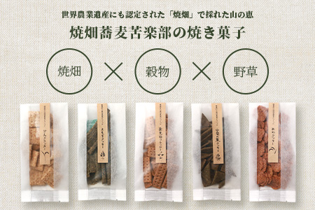 椎葉村の焼畑農家がつくった よもぎクッキー【手づくりの焼菓子】［送料無料 宮崎県 椎葉村 椎葉 日本三大秘境 秘境 焼畑 やきはた くっきー クッキー よもぎ 蓬 よもぎクッキー おやつ おかし 菓子 お菓子 焼き菓子 無添加 手作り 自然 ギフト お土産］【YS-33】