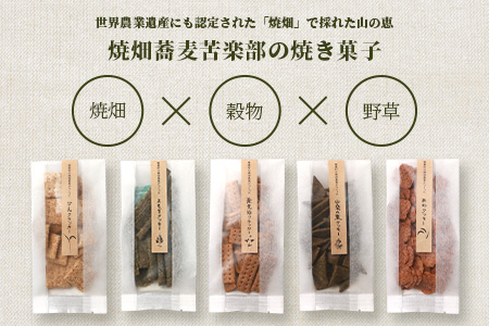 椎葉村の焼畑農家がつくった 山桑の葉クッキー【手づくりの焼菓子】［送料無料 宮崎県 椎葉村 椎葉 日本三大秘境 秘境 焼畑 やきはた くっきー クッキー 山桑 山桑の葉 山桑の葉クッキー おやつ おかし 菓子 お菓子 焼き菓子 無添加 手作り 自然 ギフト お土産］【YS-35】