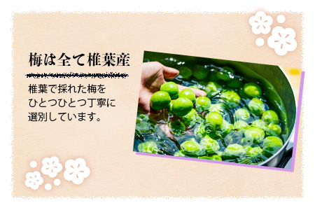 椎葉村産梅使用 梅酒「姫伝説」720ml×1本［送料無料 宮崎 椎葉 うめしゅ ウメシュ 梅酒 うめ ウメ 梅 さけ おさけ 酒 お酒 食前酒 デザート酒 女性 おしゃれ 誕生日祝い お歳暮 お祝い 贈物 プチギフト ギフト プレゼント］【SN-10】