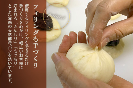 《3ヶ月定期便》【秘境・椎葉村の愛されパン屋さん】天然酵母パン 詰め合わせ 7種10個セット 【送料無料 パン 冷凍 お取り寄せ 3ヶ月 定期便 天然 酵母 詰め合せ セット 低温 長時間熟成 メロンパン あん塩 バターロール おさつ ブレッド デニッシュ ミニ食パン レーズン バターロール マヨ 朝食 手土産 手作り】【NF-27】