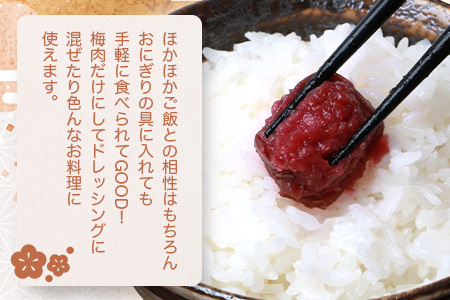 【秘境の里 椎葉のお漬物】椎葉の梅干し 250g【昔ながらの椎葉のすっぱいうめぼし】