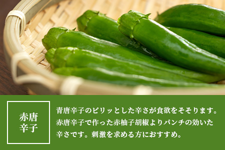 【椎葉村産天然ゆず・唐辛子使用】青柚子胡椒 2本×60g