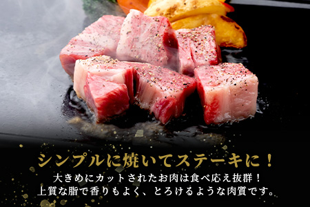 宮崎県産 椎葉牛 赤身の角切りコロコロステーキ 500g A5等級指定 ［宮崎 椎葉 国産 国産牛 黒毛和牛 和牛 牛 牛肉 赤身 肉 お肉 a5 A5 ステーキ 焼肉 カレー シチュー 冷凍 ギフト］【TK-80】