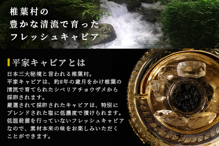 【日本三大秘境×世界三大珍味】キャビア焼売 8個入り×2パック＆平家キャビア 5gセット［宮崎 椎葉 国産 ちょうざめ チョウザメ きゃびあ キャビア しゅうまい シュウマイ 焼売 魚卵 卵 クリーミー お酒 魚介 珍味 加工品 冷凍 高級 贅沢 お取り寄せ ディナー パーティー おつまみ グルメ ギフト 記念日 誕生日 プレゼント お祝い 贈り物 贈答 セット 桐箱 希少］【SZ-136】