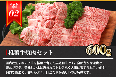  総重量2.1kg 【 3種の 牛肉 】焼肉食べ比べセット ≪ 椎葉牛 椎葉プレミアム牛 宮崎県産和牛 ≫［宮崎県 椎葉村 国産牛 黒毛和牛 和牛 牛 牛肉 赤身 肉 お肉 焼肉 バーベキュー 冷凍］【TK-52】