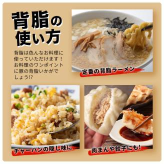 宮崎県産 THE HOUBOQ 旨味たっぷり 業務用 豚背脂 4Kg［送料無料 宮崎県 椎葉村 国産 国産豚 ぶた 豚 ポーク 豚肉 にく おにく 肉 お肉 背脂 ラーメン チャーハン 隠し味 料理好き おすすめ 油 あぶら 脂 トッピング 日本三大秘境］【HB-107】