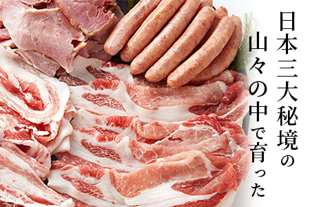 宮崎県産 THE HOUBOQ 増田さんちの豚肉 人気部位詰め合わせセット 2Kg ［宮崎県 椎葉村 国産 国産豚 ぶた 豚 ポーク 豚肉 にく おにく 肉 お肉 ロース ロースカツ バラスライス こま切れ ミンチ 冷凍 料理 日本三大秘境 ］【HB-10 】