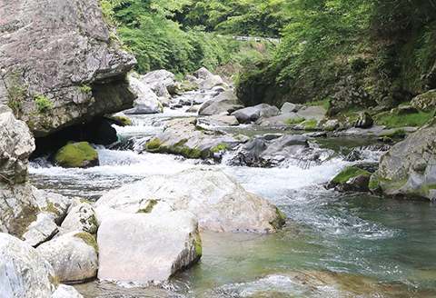 【先行受付：令和8年版】【椎葉での渓流釣りを楽しむ】遊漁許可証(年券) 耳川水系【釣り好き必見】【GK-1】[送料無料 宮崎県 宮崎 椎葉村 椎葉 遊漁券 遊漁許可証 許可証 釣り 釣 河 川 遊漁 券 年券 耳川水系 川魚 ヤマメ ヤマメ釣り 耳川水 体験]