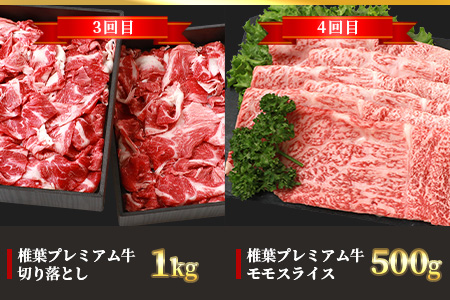 【定期便6回】総重量3.1kg 椎葉プレミアム牛満喫定期便［宮崎県 椎葉村 国産 国産牛 黒毛和牛 和牛 牛 牛肉 赤身 肉 お肉 ステーキ すき焼き しゃぶしゃぶ  焼肉  バーベキュー 冷凍］【TK-56】