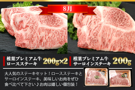 【定期便3回】総重量1.8kg 椎葉プレミアム牛 大自然の中で味わうBBQ定期便［宮崎県 椎葉村 国産 国産牛 黒毛和牛 和牛 牛 牛肉 赤身 肉 お肉 ステーキ バーベキュー 焼肉 冷凍］【TK-60】