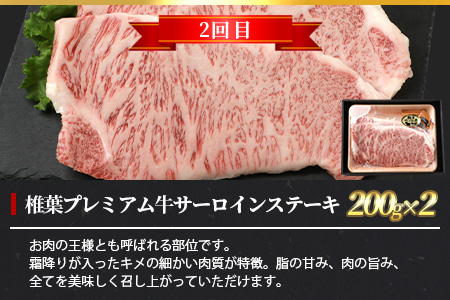 【定期便2回】総重量800g 椎葉プレミアム牛ステーキ定期便≪サーロインステーキ・ロースステーキ≫［宮崎県 椎葉村 国産 国産牛 黒毛和牛 和牛 牛 牛肉 赤身 肉 お肉 ステーキ 焼肉 バーベキュー 冷凍］【TK-61】