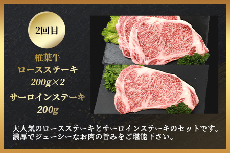 【定期便2回】総重量1kg 椎葉牛 ローストビーフとステーキの定期便 A5等級指定 ［宮崎県 椎葉村 国産 国産牛 黒毛和牛 和牛 牛 牛肉 赤身 肉 お肉 a5 A5 サーロイン ブロック肉 焼肉 冷凍］【TK-64】