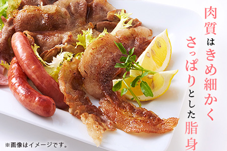 宮崎県産 THE HOUBOQ 豚肉 業務用 まるまる一頭分 スライス加工［宮崎県 椎葉村 国産 国産豚 ぶた 豚 ポーク 豚肉 にく おにく 肉 お肉 スライス しゃぶしゃぶ やきにく 焼肉 バーベキュー BBQ 野菜炒め 便利 多用途 冷凍 料理 日本三大秘境］【HB-100】