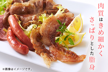 宮崎県産 THE HOUBOQ 豚肉まるまる一頭分 スライス加工&骨付きアリ［宮崎県 椎葉村 国産 国産豚 ぶた 豚 ポーク 豚肉 にく おにく 肉 お肉 骨付き スペアリブ スライス しゃぶしゃぶ やきにく 焼肉 バーベキュー BBQ 野菜炒め 便利 多用途 冷凍 料理 日本三大秘境］【HB-102】