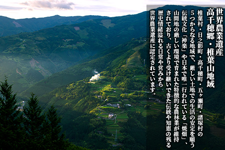 【7営業日以内発送】【雑穀米】藤の花色に染まる美しい六穀米《藤六穀》300g×3袋【世界農業遺産 高千穂郷・椎葉山地域】送料無料 保存食 非常食 米 お米 ご飯 ご当地 贈り物 手土産 お土産 挨拶 祝い ギフト 父 母 栄養 健康 うるち米 たかきび 挽割とうもろこし もちあわ もち麦 黒米【TT-8】