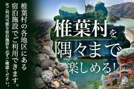 椎葉村共通宿泊割引券　10,000円分 [KK-52]