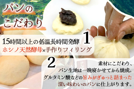 【秘境・椎葉村の愛されパン屋さん】 天然酵母パン 詰め合わせ 7種10個セット【送料無料 パン 冷凍 お取り寄せ 定期便 天然 酵母 詰め合せ セット 低温 長時間熟成 メロンパン あん塩 バターロール おさつ ブレッド デニッシュ ミニ食パン レーズン バターロール マヨ 朝食 手土産 手作り 保存食】【NF-26】