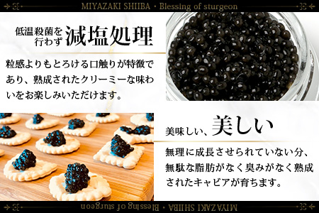 〈３回定期便〉【桐箱入り】 国産 キャビア 10g × 3回配送 計30g【世界三大珍味×日本三大秘境】 宮崎 椎葉 国産 チョウザメ キャビア 魚卵 定期便 魚介 珍味 贈答 希少 SZ-102_3teiki