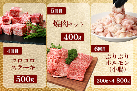 【 定期便 全10回 】 10ヶ月連続でお届け！ 牛肉 オール椎葉牛大満足セット 総重量 5,180g 【 日本三大秘境 椎葉村 育ちの黒毛和牛 】[ 牛肉 ステーキ 精肉 ホルモン モモ肉 ヒレ肉 定期便 定期配送 肉 スライス肉 サーロイン A5等級指定 黒毛和牛 ブランド牛 A5ランク おすすめ 送料無料 ] TK-105