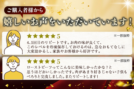 【６回定期便】 宮崎県産 椎葉牛 ローストビーフブロック 200g（100g×2P）×6回 計1.2kg［ 定期便 椎葉 国産牛 黒毛和牛 和牛 牛肉 赤身 肉 牛 お肉 ブロック肉 冷凍 定期 ギフト おすすめ 人気］TK-106