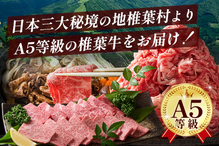 宮崎県産 椎葉牛 ヒレ肉  480g お試しステーキソース付き A5等級指定 ［宮崎県 椎葉村 国産 国産牛 黒毛和牛 和牛 牛 牛肉 赤身 肉 お肉 a5 A5 ヒレ ステーキ 焼肉 バーベキュー 冷凍］【TK-24】