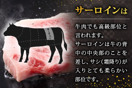 宮崎県産 椎葉牛 サーロインステーキ 200ｇ×2枚 計400g TK-84 [宮崎県 椎葉村 牛肉 牛 肉 お肉 人気 おすすめ 和牛 黒毛和牛]