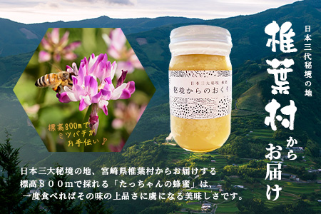 【無添加 非加熱】標高800m たっちゃんのこだわり蜂蜜【170g×1本】(送料無料 宮崎県 椎葉村 秘境 蜂蜜 はちみつ ハチミツ みつばち ミツバチ 伝統的 養蜂 国産 天然 百花蜜 巣箱 数量限定 季節 希少 防災 備蓄 170g) TN-04