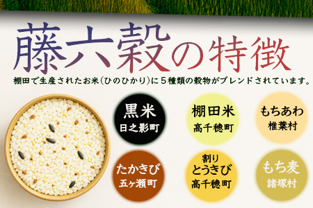 【6回定期便】【雑穀米】藤の花色に染まる美しい六穀米《藤六穀》300g×1袋 6回配送【世界農業遺産 高千穂郷・椎葉山地域】送料無料 定期便 定期 保存食 非常食 米 お米 ご飯 ご当地 贈り物 手土産 お土産 挨拶 祝い ギフト 父 母 栄養 健康 うるち米 たかきび 挽割とうもろこし もちあわ もち麦 黒米【TT-13】