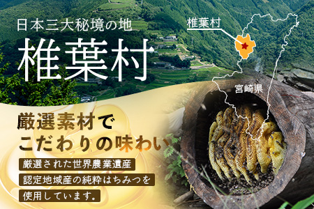 【1月より順次発送】【椎葉村産のはちみつ】を使用したハニーマスタード！ゴッドマイト 90g × 2個 計 180g | ハニーマスタード マスタード 90g 180g 2個 はちみつ 蜂蜜 粒マスタード 万能ソース 宮崎県 椎葉村 おすすめ 純粋はちみつ | TT-19