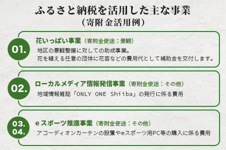 【返礼品なしの寄附】宮崎県椎葉村（1口：3,000円）