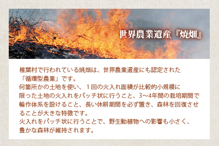 宮崎県 椎葉村の焼畑農家がつくった あわクッキー【手づくりの焼菓子】［送料無料 宮崎県 椎葉村 椎葉 日本三大秘境 秘境 焼畑 やきはた くっきー クッキー 粟 あわ 粟クッキー おやつ おかし 菓子 お菓子 焼き菓子 無添加 手作り 自然 ギフト お土産］【YS-31】
