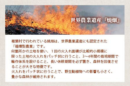 椎葉村の焼畑農家がつくった 蕎麦粉クラッカー【手づくりの焼菓子】［送料無料 宮崎県 椎葉村 椎葉 日本三大秘境 秘境 焼畑 やきはた くらっかー クラッカー 蕎麦 蕎麦粉 そば そばこ 蕎麦粉クラッカー おやつ おかし 菓子 お菓子 焼き菓子 無添加 手作り 自然 ギフト お土産］【YS-34】