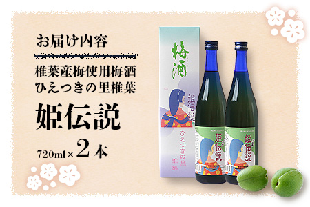 椎葉村産梅使用 梅酒「姫伝説」720ml×2本［送料無料 宮崎 椎葉 うめしゅ ウメシュ 梅酒 うめ ウメ 梅 さけ おさけ 酒 お酒 食前酒 デザート酒 女性 おしゃれ 誕生日祝い お歳暮 お祝い 贈物 プチギフト ギフト プレゼント］【SN-11】