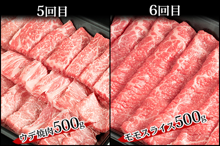 【定期便 6回】受賞歴多数!! 宮崎牛を6ヶ月で合計3.25キロ 宮崎牛づくし【送料無料 宮崎県 椎葉村 秘境 国産 宮崎県産 ブランド牛 牛肉 牛 和牛 肉 肩ロース ばら うで もも すき焼き 焼肉 焼き肉 BBQ アウトドア キャンプ 牛丼 うまい 美味しい おすすめ おかず 多用途 ギフト 贈り物 プレゼント 祝い パーティー 誕生日 記念日 お土産 敬老 お中元 お歳暮】【MT-38】