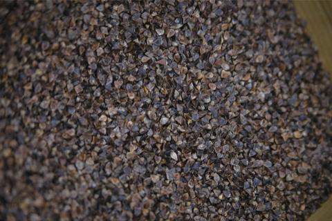 椎葉産 自家製粉 石臼挽き蕎麦粉 500g【在来種】【日本三大秘境の国産そば粉】