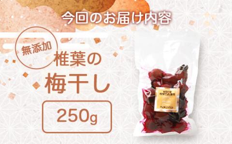 【秘境の里 椎葉のお漬物】椎葉の梅干し 250g【昔ながらの椎葉のすっぱいうめぼし】