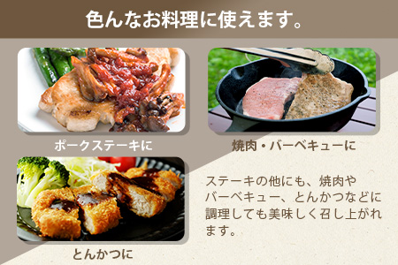 宮崎県産 THE HOUBOQ 豚肉 ステーキ用 肩ロース 500g[宮崎 椎葉村 豚肉 豚 肉 ぶた にく ぶたにく おにく お肉 ステーキ肉 ステーキ トンテキ 豚ステーキ 肩ロース ロース BBQ バーベキュー 美味い 日本三大秘境 美味しい 逸品 焼肉]【HB-111】