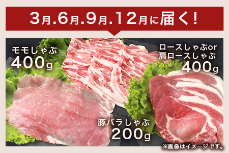 宮崎県産 THE HOUBOQの豚肉お試し定期便 3回配送 3Kg≪焼肉・小間切れ・しゃぶしゃぶ≫［宮崎県 椎葉村 国産 国産豚 ぶた 豚 ポーク 豚肉 にく おにく 肉 お肉 しゃぶしゃぶ やきにく セット 焼肉 バーベキュー ＢＢＱ 冷凍 料理 日本三大秘境］【HB-86】
