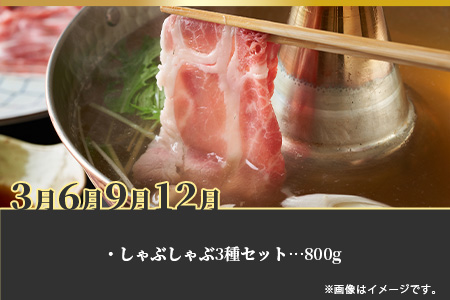 宮崎県産 THE HOUBOQの豚肉バラエティ定期便 3回配送 2.42Kg ≪しゃぶしゃぶ・小間切れ・ミンチ・焼肉≫ ［宮崎県 椎葉村 国産 国産豚 ぶた 豚 ポーク 豚肉 にく おにく 肉 お肉 しゃぶしゃぶ やきにく 焼肉 バーベキュー BBQ セット 便利 多用途 バラエティ 冷凍 料理 日本三大秘境］【HB-124】